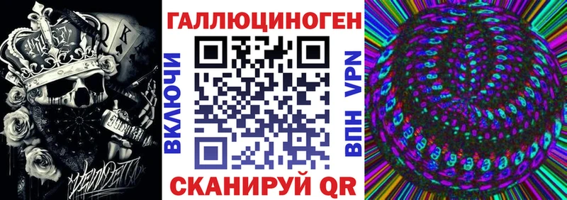 Псилоцибиновые грибы Psilocybe  Заозёрный 